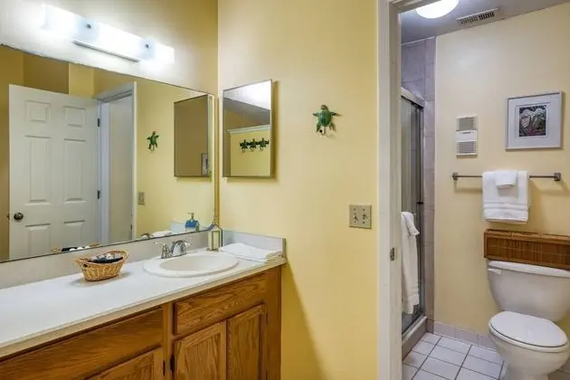 Daire (Canopy Shore)