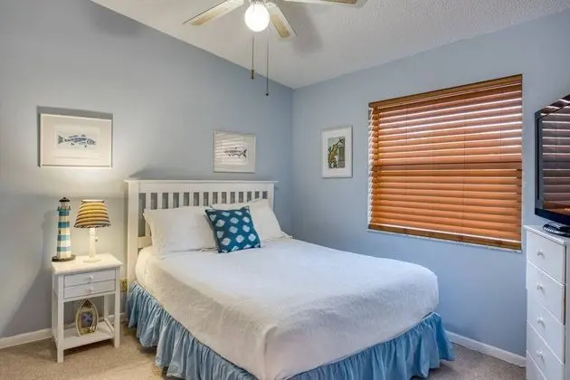 Daire (Canopy Shore)