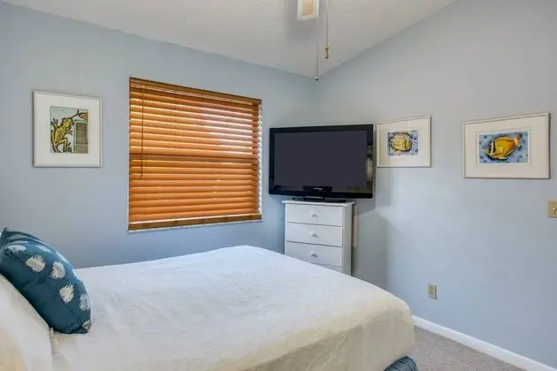 Daire (Canopy Shore)