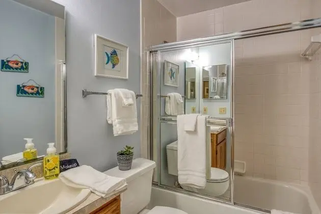 Daire (Canopy Shore)