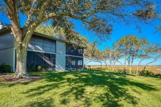 Daire (Canopy Shore)