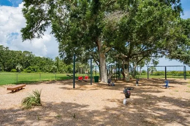 Daire (Canopy Shore)