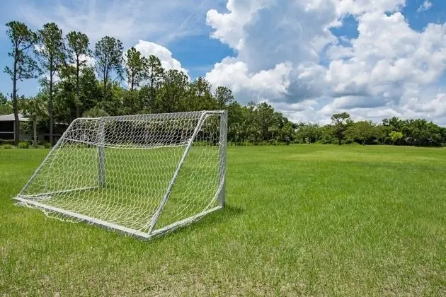 Daire (Canopy Shore)