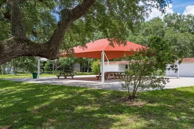 Daire (Canopy Shore)