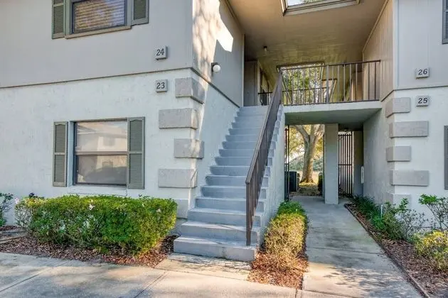 Daire (Canopy Shore)