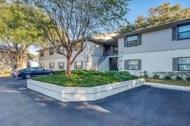 Daire (Canopy Shore)