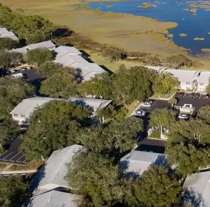 Daire (Canopy Shore)