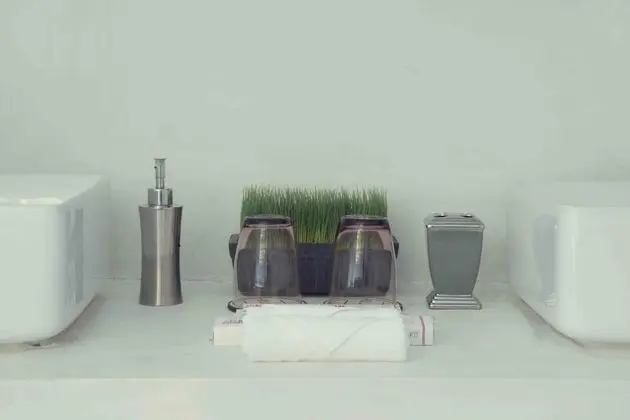 Süit
