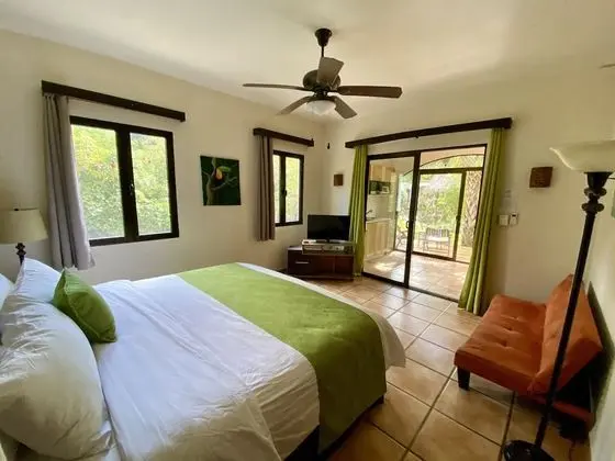 Villa One Bedroom, 1 King Bed