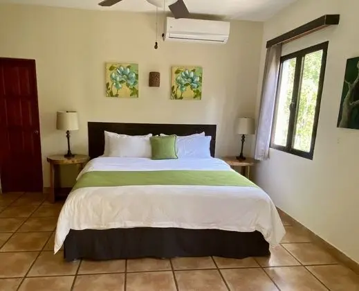 Villa One Bedroom, 1 King Bed