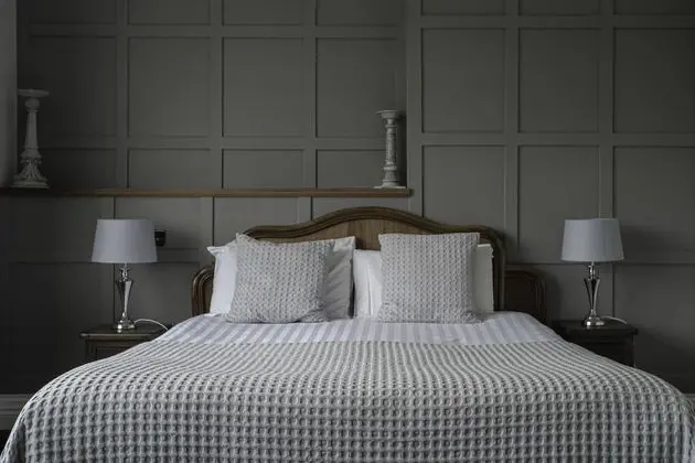 Superior Tek Büyük Yataklı Oda, 1 Yatak Odası