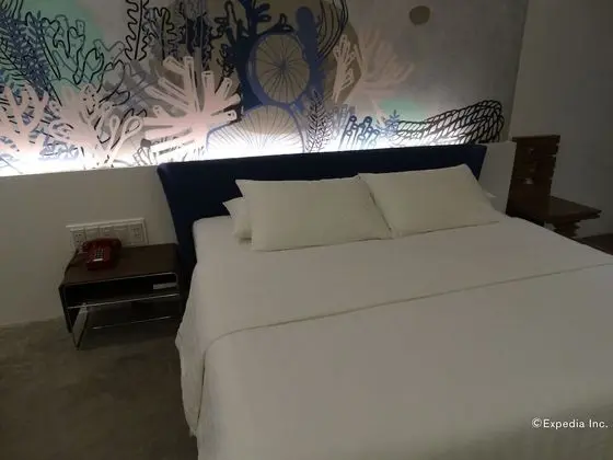 Premier Oda, 1 En Büyük (King) Boy Yatak