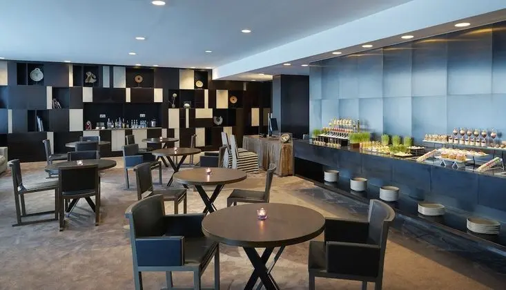 Executive Oda, 1 En Büyük (King) Boy Yatak (High Floor)