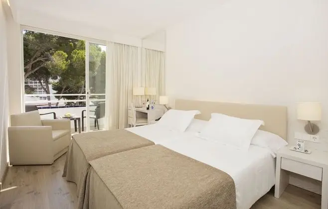 Superior Tek Büyük Yataklı Oda, Balkon, Bahçe Manzaralı