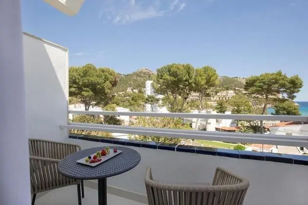 Superior Tek Büyük Yataklı Oda, Balkon, Bahçe Manzaralı