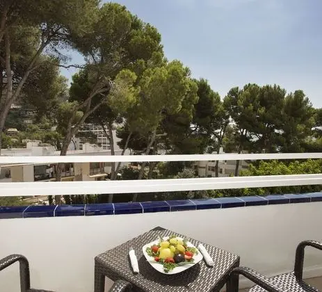Tek Büyük Yataklı Oda, Balkon, Bahçe Manzaralı