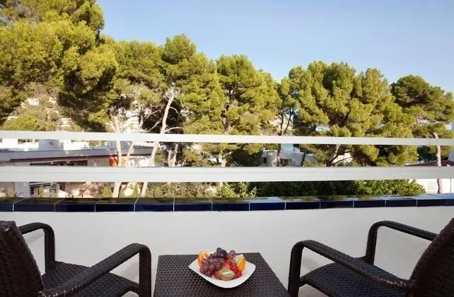 Tek Büyük Yataklı Oda, Balkon, Bahçe Manzaralı