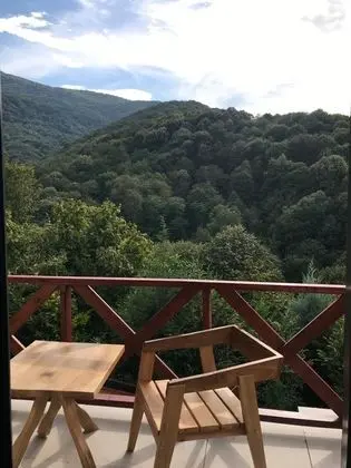 Jakuzili Deluxe Oda,Dağ Manzaralı,Şömineli ve Jakuzili