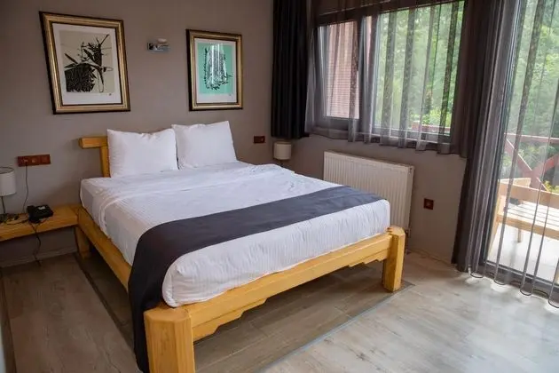 Standart Oda,Dağ Manzaralı,Balkonlu