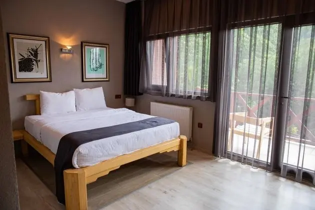 Standart Oda,Dağ Manzaralı,Balkonlu
