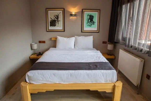 Standart Oda,Dağ Manzaralı,Balkonlu