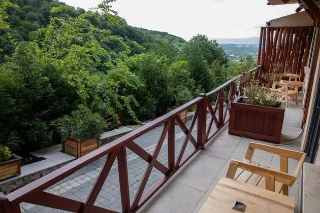 Standart Oda,Dağ Manzaralı,Balkonlu
