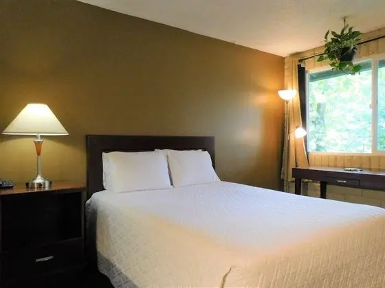 Oda, 1 Büyük (Queen) Boy Yatak, Sigara İçilmez