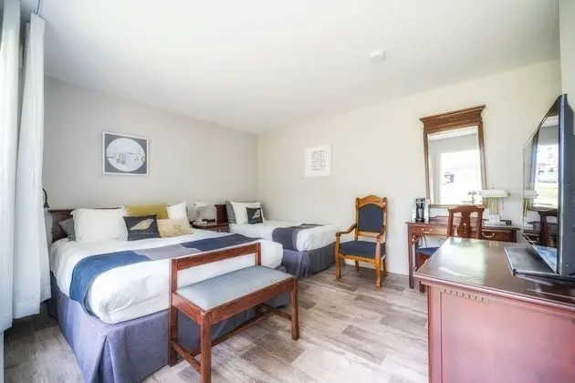 Tek Büyük Yataklı Oda (Motel)