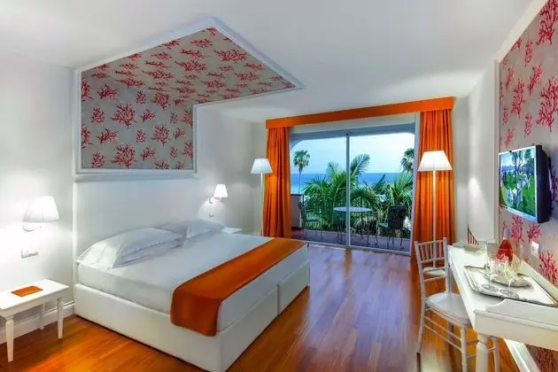 Superior Tek Büyük veya İki Ayrı Yataklı Oda, 1 Çift Kişilik veya 2 Tek Kişilik Yatak