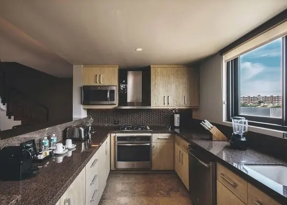 Çatı Katı Süiti (Penthouse), Okyanus Manzaralı (Residence with Plunge Pool)