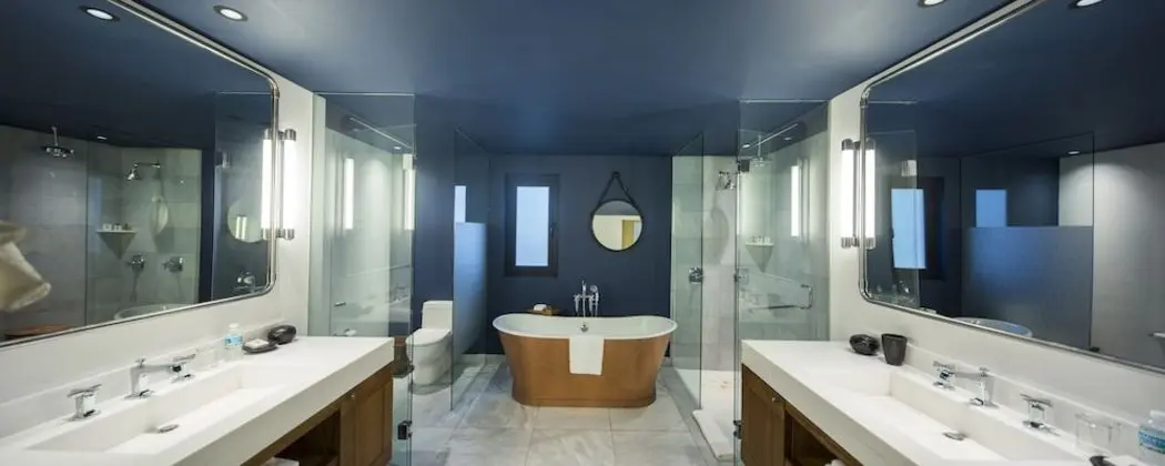 Çatı Katı Süiti (Penthouse), Okyanus Manzaralı (Residence with Plunge Pool)