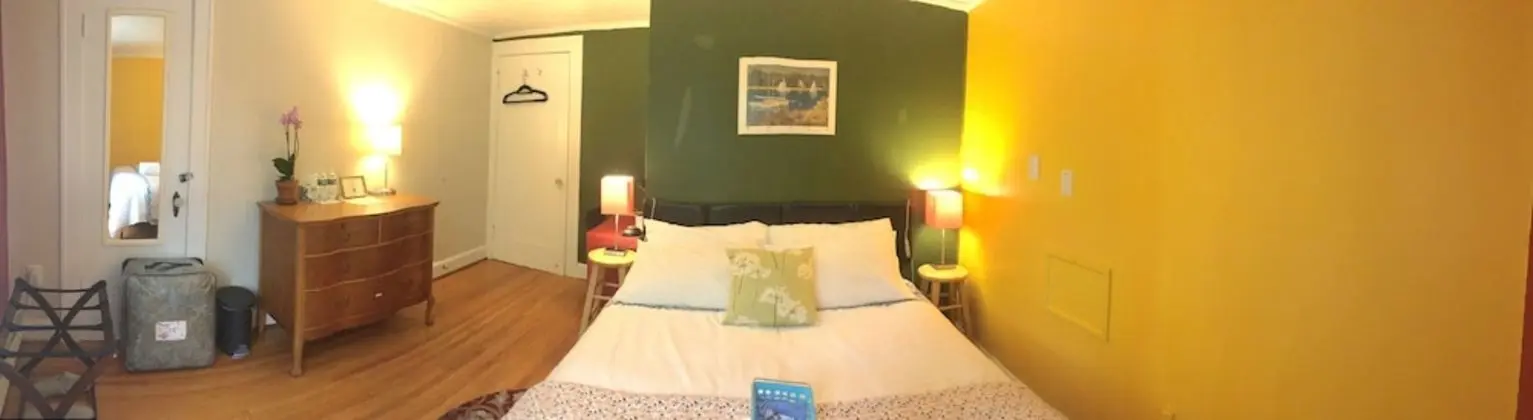 Deluxe Oda, 1 Büyük (Queen) Boy Yatak, Sigara İçilmez, Şehir Manzaralı