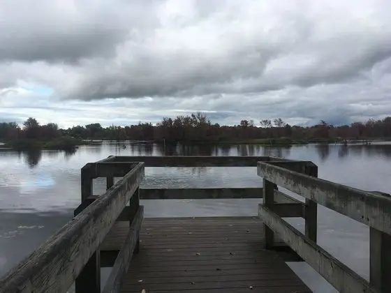 Signature Oda, 1 Büyük (Queen) Boy Yatak, Sigara İçilmez, Bahçe Manzaralı
