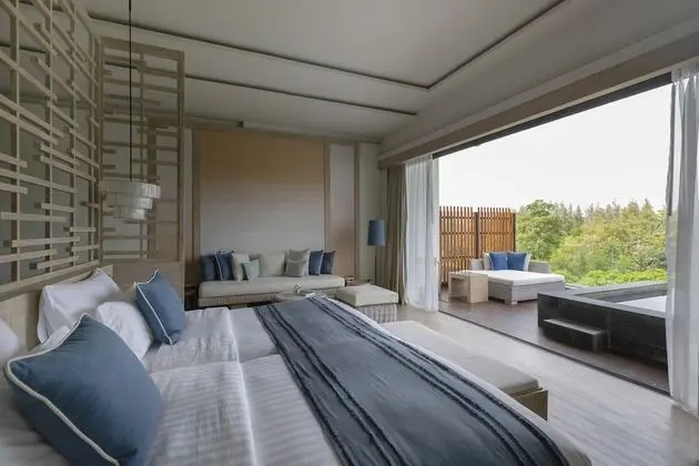 Deluxe sky pool suite