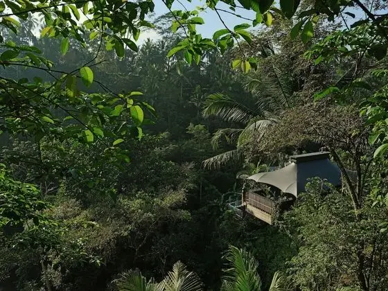 Keliki Valley Tent