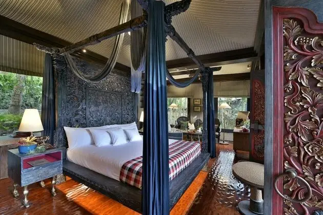 Rainforest Tent