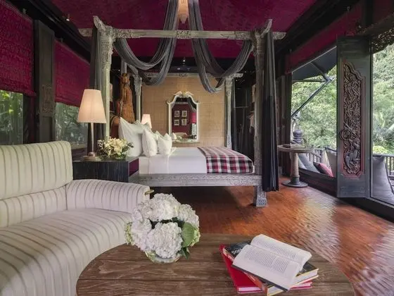 Rainforest Tent