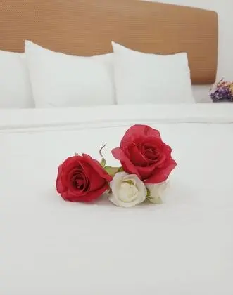 Economy Oda, Şehir Manzaralı