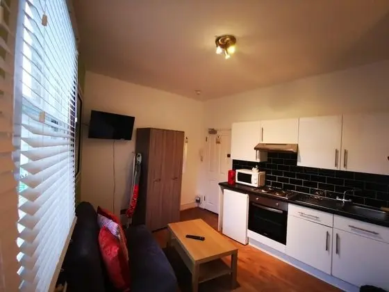 Luxury Apart Daire, Özel Banyo (Studio)