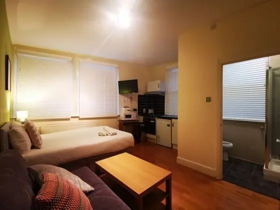 Standard Stüdyo, Banyolu/Duşlu, Şehir Manzaralı ( Flat 3)