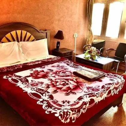 Deluxe Tek Büyük veya İki Ayrı Yataklı Oda