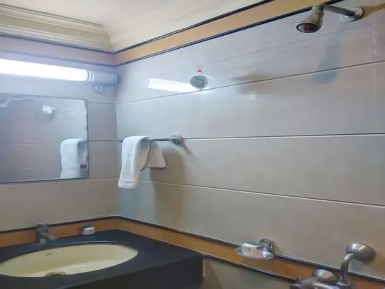 Standard Tek Büyük veya İki Ayrı Yataklı Oda, 1 Çift Kişilik Yatak