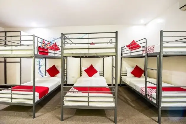 Standard Oda (6 Bunk Bed)