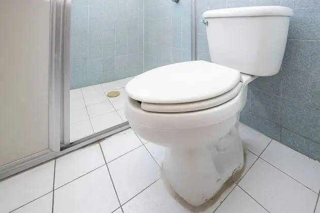 Standard Tek Büyük Yataklı Oda, Birden Çok Yatak