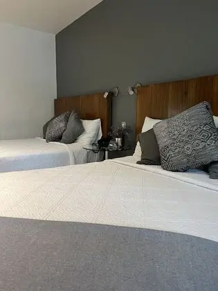 Superior İki Ayrı Yataklı Oda, Teras
