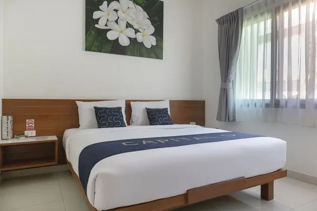Deluxe Tek Büyük Yataklı Oda, Havuz Kullanımı