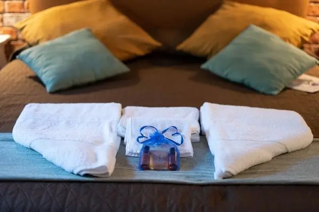 Standard Tek Büyük Yataklı Oda, 1 Büyük (Queen) Boy Yatak