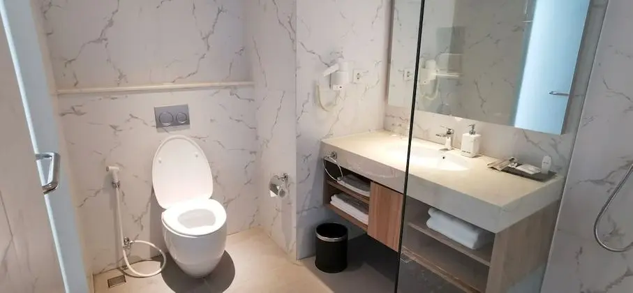 Deluxe Tek Büyük veya İki Ayrı Yataklı Oda, Havuz Kullanımı