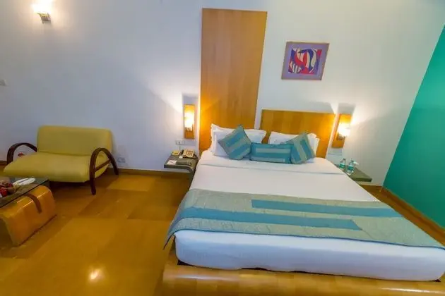 Deluxe Tek Büyük Yataklı Oda, Sigara İçilebilir, Şehir Manzaralı