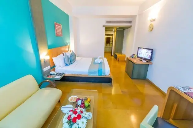 Deluxe Tek Büyük Yataklı Oda, Sigara İçilebilir, Şehir Manzaralı